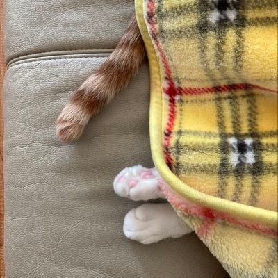 durijo90's profile picture. 뼈속 깊이 민주권리당원💙