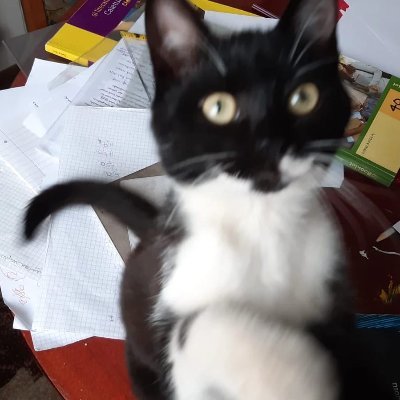 KATY20956838's profile picture. 