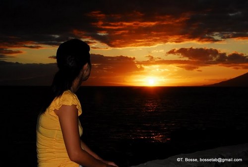 jijimarutan's profile picture. 