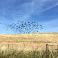 Claire Dymock (@dymockclaire) 's Twitter Profile Photo Claire Dymock (@dymockclaire) 's Twitter Profile Photo