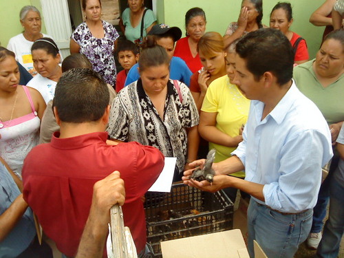 ING. AGRONOMO, PRIISTA DE CORAZON, DELEGADO MUNICIPAL DEL PRI Y ACTUALMENTE COLABORO EN EL CDE DEL PRI.