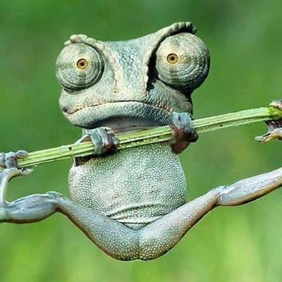 La politique est un balancier dont les oscillations entre anarchie et tyrannie sont alimentées par des illusions sans cesse renouvelées.👀🧠 Albert Einstein