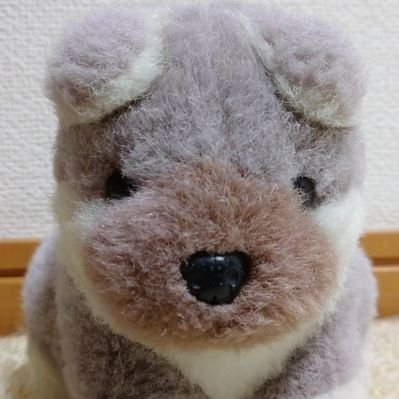 masa_01cc's profile picture. 大学3年/簿記2級始めます→休憩中/簿記3級取得済/スポーツ医学2級取得済/24卒/朝活やろうかな