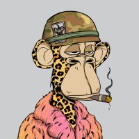 -Nakamoto- (@nakamoto_eth) 's Twitter Profile Photo