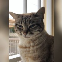 Jud (@juuuuuuuuuudd) 's Twitter Profile