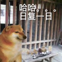 廿贰 (@4htxtj4ravpda40) 's Twitter Profile