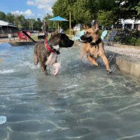 Marilyn Parker (@marparker2) 's Twitter Profile