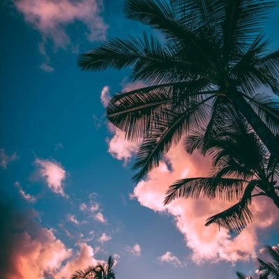 Aakib26084518's profile picture. 