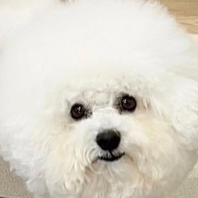 ちゃんさんのプロフィール画像