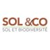 Sol &co (@soleco54) Twitter profile photo Sol &co (@soleco54) Twitter profile photo