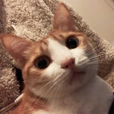 tubosuさんのプロフィール画像