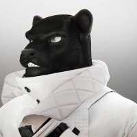 Cryptorm (@cryptorm_) 's Twitter Profile