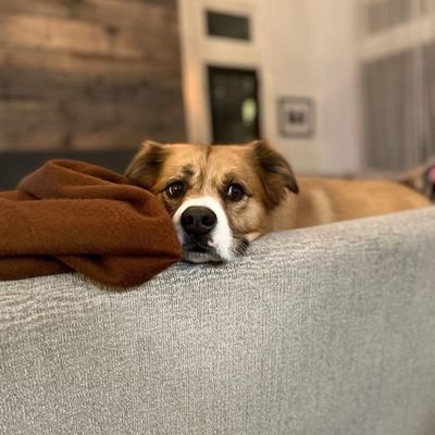 WJwyDhftppGhw12's profile picture. 