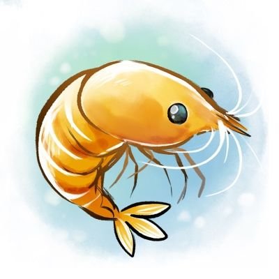 アクアリウム2021.11.11〜/チェリーシュリンプを主に飼育中🦐/アクアリウムやシュリンプに興味のある方と繋がりたいです☺️/無言フォロー失礼します🙇youtube始めたので良かったらご覧ください✨