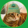 MackaCat_BK's profile picture. Classic orange tabby (f) beaut. Per my adoption ad: "This feisty & friendly kitty was found wandering the streets of Brooklyn." My name means "Cat" in Croatian!