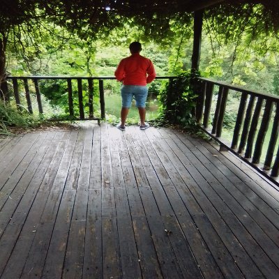 For the love of (Day Trading, Cooking, Traveling & Family)