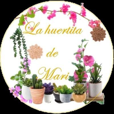 💐👍Síguenos 🤗, subimos consejos, tips y cosillas que alegraran tu día 😁, somos la Huertita de Mari una página para los amantes de las plantas 🌳