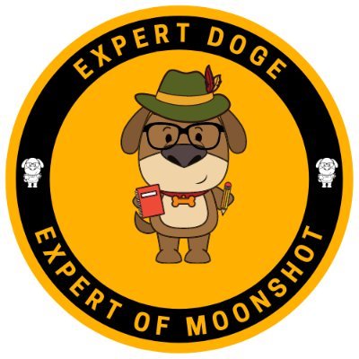 Expert Doge