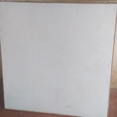 SammyCh65723633's profile picture. 