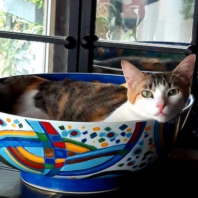 baprosa's profile picture. Faculdade de Leras Universidade do Porto.
"O conhecimento une cada um consigo mesmo e todos com todos" (José Saramago).