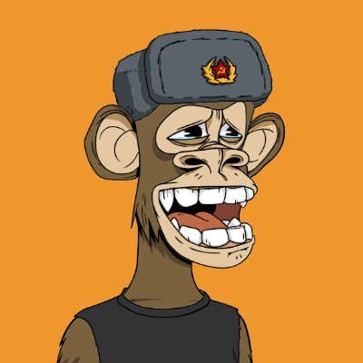 captaindotsol's profile picture. captain.sol