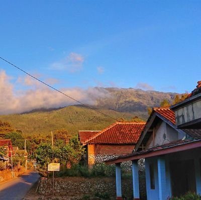 syyhh765's profile picture. Selalu fikir positif ❤