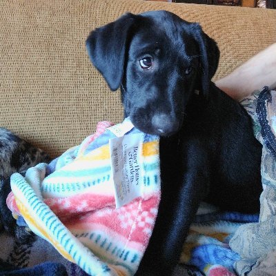 TheConnarchy's profile picture. A website for deep-ish thoughts on things that exist now and things that might exist later.