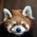 Decaux (@decaux_x) Twitter profile photo Decaux (@decaux_x) Twitter profile photo