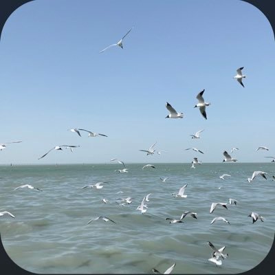 •في الركن البعيد الهادي•