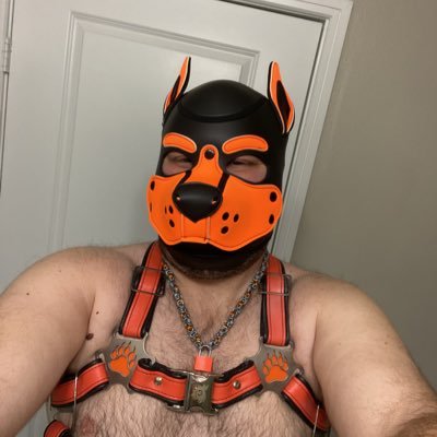 Gay Poly Pup that lives in DFW. Married to @Huskpupper