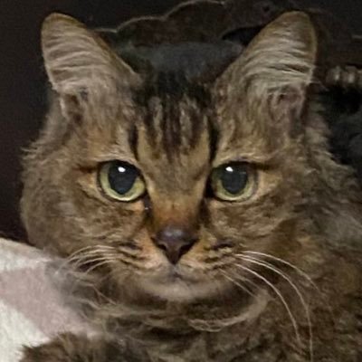 ﾋﾞさんのプロフィール画像
