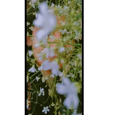 JEEsexual's profile picture. damaged goods