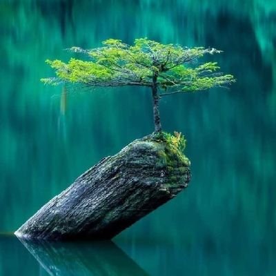 تر ټولو خوږه ميوه.....!
د قرانکريم تلاوت دې.....!
♥🥀🍁🌱🌹♥