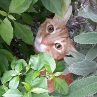 Lolo (@lolo68830797) 's Twitter Profile Photo