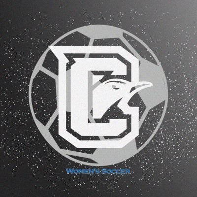 Official account for Clark Women's Soccer | 13 straight NWAC Tournaments | 5x Defending South Region Champions | #penggang