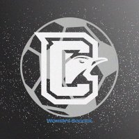 Clark College Women's Soccer (@clarkwsoc) 's Twitter Profile