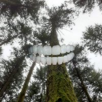 megadrainer33 (@vincouugf) 's Twitter Profile