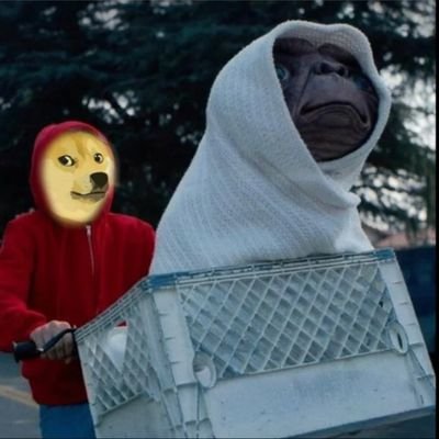 free_doge_coins's profile picture. Doge is the only meme coin.