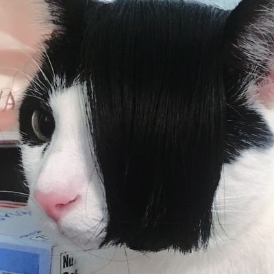 👻 arpieさんのプロフィール画像