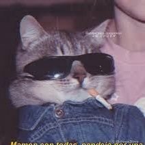 Salemgt_'s profile picture. 