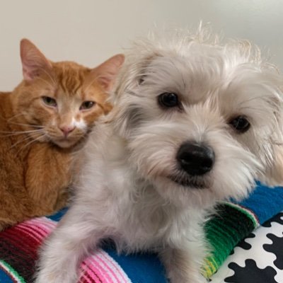 ElisaLeung's profile picture. 