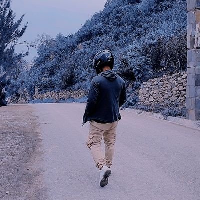 elisban_rosales's profile picture. 🇵🇪
web development student
♊