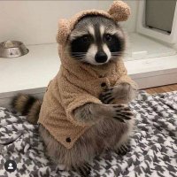 Chaz 🌐🗽 (@chaz_the_kerbal) 's Twitter Profile