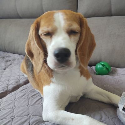 xluanna's profile picture. the best that you can do is not give a fuck