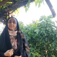 ملیحه ذوالفقاریان (@m_zolfagharian) 's Twitter Profile