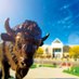 UB Community Relations (@ubcommunity) Twitter profile photo UB Community Relations (@ubcommunity) Twitter profile photo