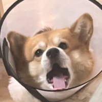 танюхатанкер++ /кадровая служба/ (@tania28rec) 's Twitter Profile