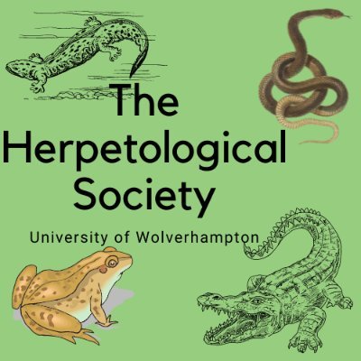 The University of Wolverhampton Herpetological Society

Committee:
Chair: Katie Marshall
Secretary: Luke Risbey
Treasurer: Rebecca Haywood