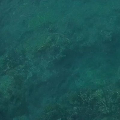 mtw8888's profile picture. 🚀 🦇 🌙 🤭