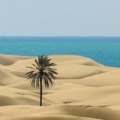 hadifarjoodi's profile picture. 